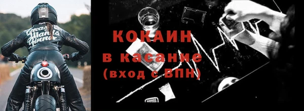шишки Осинники
