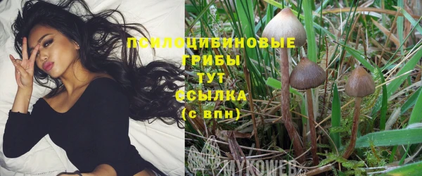 хмурый Остров