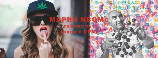 шишки Осинники